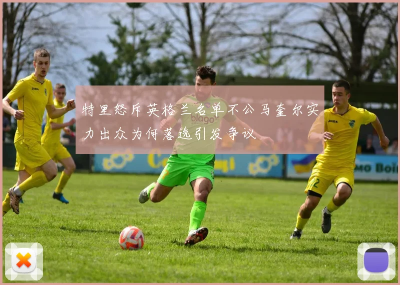 特里怒斥英格兰名单不公马奎尔实力出众为何落选引发争议
